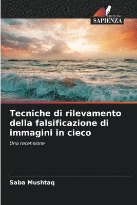 bokomslag Tecniche di rilevamento della falsificazione di immagini in cieco