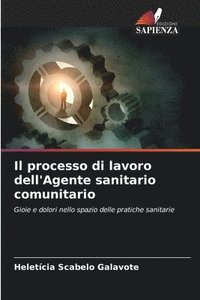 bokomslag Il processo di lavoro dell'Agente sanitario comunitario