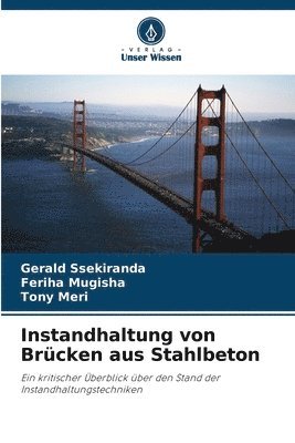 Instandhaltung von Brcken aus Stahlbeton 1