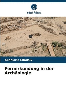 bokomslag Fernerkundung in der Archäologie