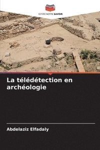 bokomslag télédétection en archéologie