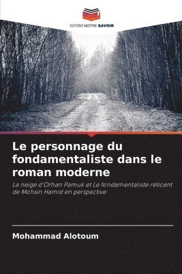 bokomslag personnage du fondamentaliste dans le roman moderne