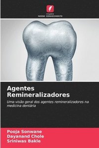 bokomslag Agentes Remineralizadores