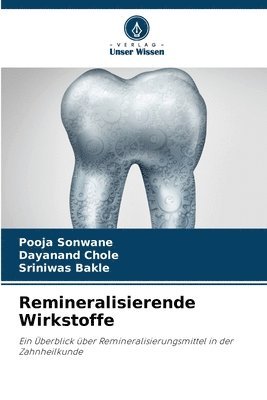 bokomslag Remineralisierende Wirkstoffe