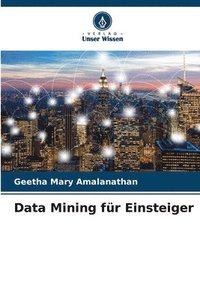 bokomslag Data Mining fr Einsteiger