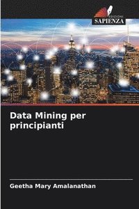 bokomslag Data Mining per principianti