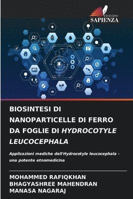 bokomslag Biosintesi Di Nanoparticelle Di Ferro Da Foglie Di Hydrocotyle Leucocephala