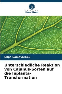 Unterschiedliche Reaktion von Cajanus-Sorten auf die Inplanta-Transformation 1