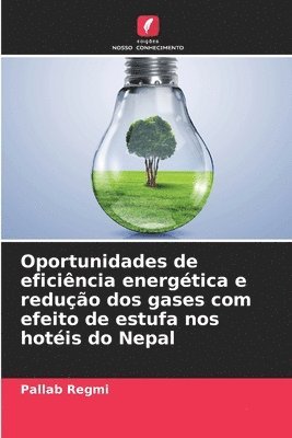 Oportunidades de eficincia energtica e reduo dos gases com efeito de estufa nos hotis do Nepal 1