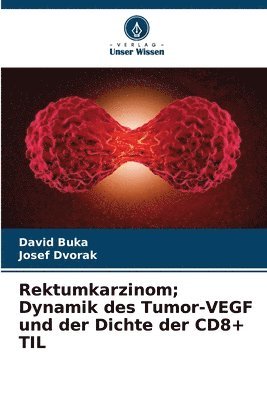 Rektumkarzinom; Dynamik des Tumor-VEGF und der Dichte der CD8+ TIL 1