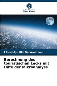 bokomslag Berechnung des touristischen Lecks mit Hilfe der Mikroanalyse