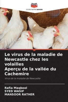 bokomslag Le virus de la maladie de Newcastle chez les volailles Aperu de la valle du Cachemire