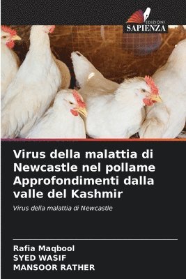 bokomslag Virus della malattia di Newcastle nel pollame Approfondimenti dalla valle del Kashmir