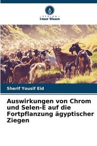 bokomslag Auswirkungen von Chrom und Selen-E auf die Fortpflanzung ägyptischer Ziegen