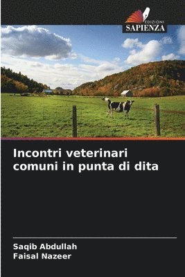 bokomslag Incontri veterinari comuni in punta di dita