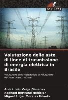 bokomslag Valutazione delle aste di linee di trasmissione di energia elettrica in Brasile