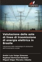 Valutazione delle aste di linee di trasmissione di energia elettrica in Brasile 1