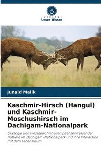 bokomslag Kaschmir-Hirsch (Hangul) und Kaschmir-Moschushirsch im Dachigam-Nationalpark