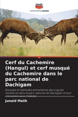 bokomslag Cerf du Cachemire (Hangul) et cerf musqu du Cachemire dans le parc national de Dachigam