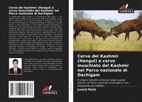 bokomslag Cervo del Kashmir (Hangul) e cervo muschiato del Kashmir nel Parco nazionale di Dachigam