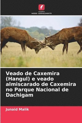 Veado de Caxemira (Hangul) e veado almiscarado de Caxemira no Parque Nacional de Dachigam