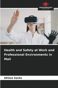 bokomslag Health and Safety at Work and Professional Environments in Mali