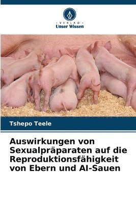 bokomslag Auswirkungen von Sexualpräparaten auf die Reproduktionsfähigkeit von Ebern und AI-Sauen