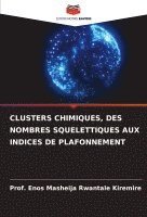 bokomslag Clusters Chimiques, Des Nombres Squelettiques Aux Indices de Plafonnement