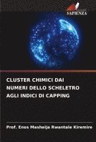 bokomslag Cluster Chimici Dai Numeri Dello Scheletro Agli Indici Di Capping