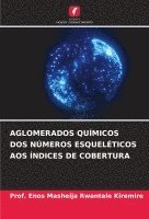 bokomslag Aglomerados Químicos DOS Números Esqueléticos Aos Índices de Cobertura