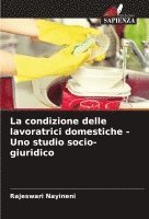 bokomslag La condizione delle lavoratrici domestiche - Uno studio socio-giuridico