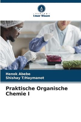 bokomslag Praktische Organische Chemie I