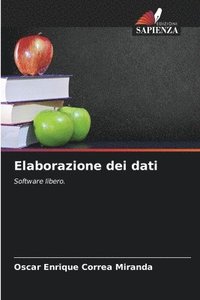 bokomslag Elaborazione dei dati