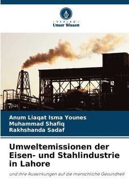 Umweltemissionen der Eisen- und Stahlindustrie in Lahore 1