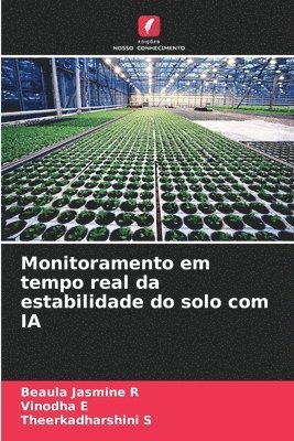 Monitoramento em tempo real da estabilidade do solo com IA