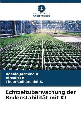 Echtzeitüberwachung der Bodenstabilität mit KI