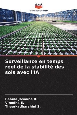 Surveillance en temps réel de la stabilité des sols avec l'IA