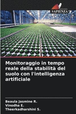 Monitoraggio in tempo reale della stabilità del suolo con l'intelligenza artificiale
