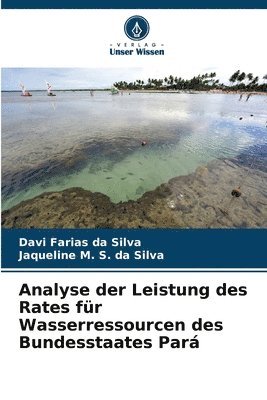 bokomslag Analyse der Leistung des Rates fr Wasserressourcen des Bundesstaates Par