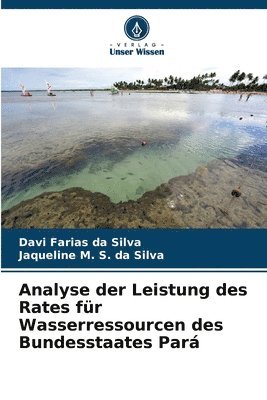 Davi Farias Da Silva, Jaqueline M S Da Silva, Jaqueline M. S. Da Silva, Davi Farias da Silva, Jaqueline M. S. da Silva - Analyse der Leistung des Rates für Wasserressourcen des Bundesstaates Pará, Häftad