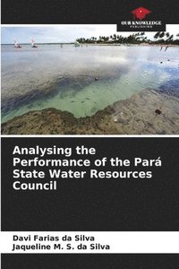 bokomslag Analysing the Performance of the Pará State Water Resources Council