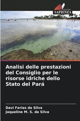 Analisi delle prestazioni del Consiglio per le risorse idriche dello Stato del Par 1