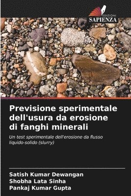 bokomslag Previsione sperimentale dell'usura da erosione di fanghi minerali