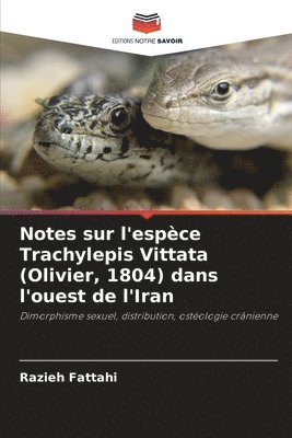 bokomslag Notes sur l'espèce Trachylepis Vittata (Olivier, 1804) dans l'ouest de l'Iran