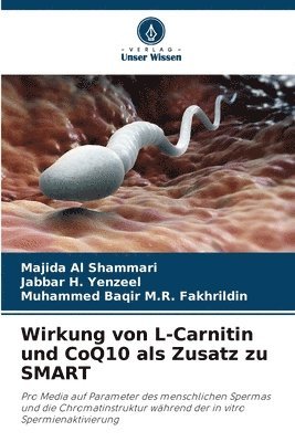 Wirkung von L-Carnitin und CoQ10 als Zusatz zu SMART 1