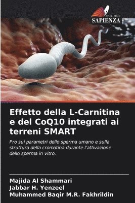 bokomslag Effetto della L-Carnitina e del CoQ10 integrati ai terreni SMART