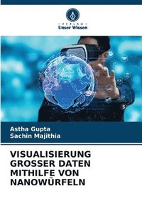 bokomslag Visualisierung Grosser Daten Mithilfe Von Nanowürfeln