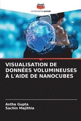 bokomslag Visualisation de Donnes Volumineuses  l'Aide de Nanocubes