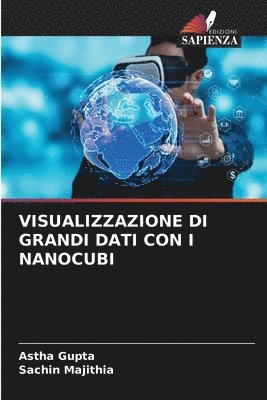 bokomslag Visualizzazione Di Grandi Dati Con I Nanocubi