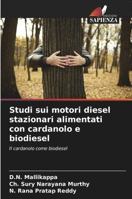 Studi sui motori diesel stazionari alimentati con cardanolo e biodiesel 1